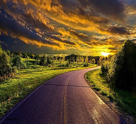 Image result for Landscape Plan CAD