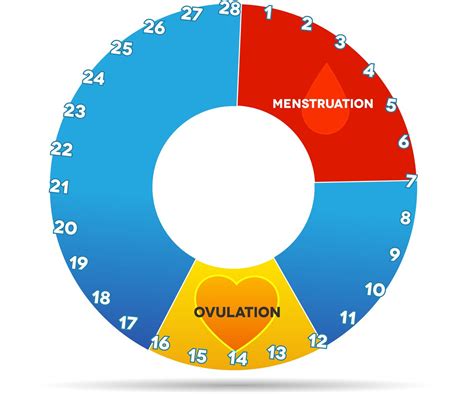 Afbeeldingsresultaten voor Period Ovulation Cycle Chart