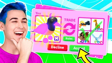 Bird of Paradise Roblox に対する画像結果