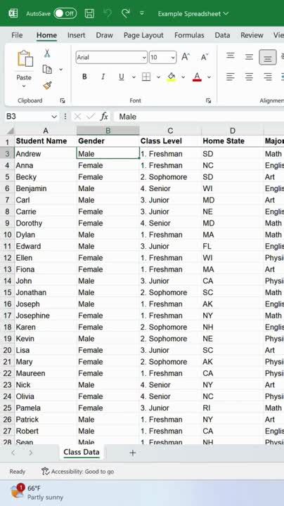 Image result for Large DataTable Excel Design Idea