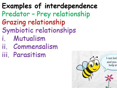 Interdependence Independence に対する画像結果