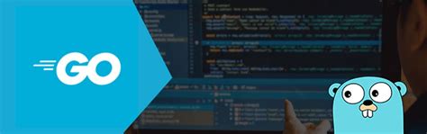 Image result for Golang Startup Flow