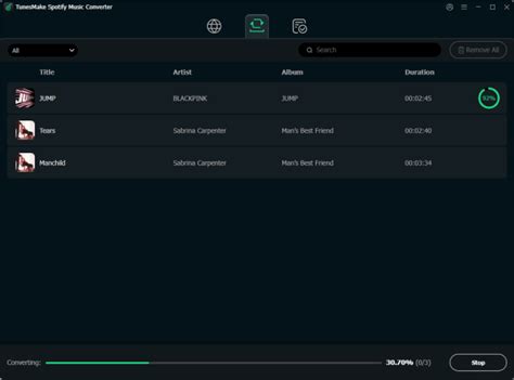 Toradh íomhá ar Roblox Audio Spotify