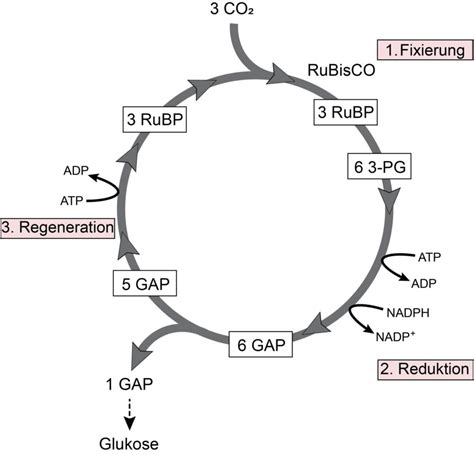 Afbeeldingsresultaten voor FS Diagramm