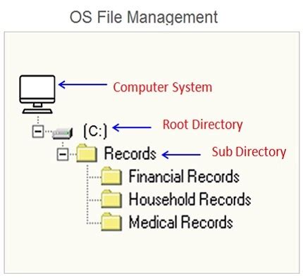 Image result for File Organization in OS
