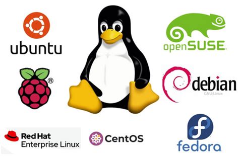 Image result for Remote Server Access Linux