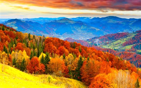 Image result for Fall Seasons