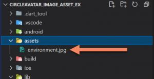 Circle Avatar Flutter Size Biryani に対する画像結果