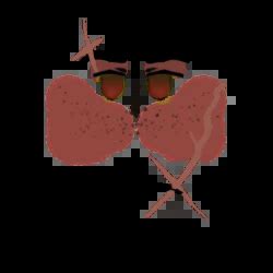 Image result for Csom Faces Scar Roblox