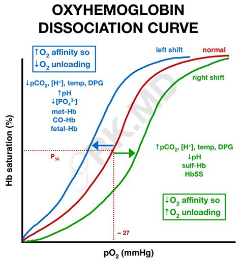 Image result for Hemoglobulin Sigmoidal Curve