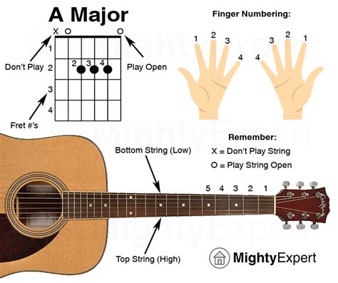 Image result for How To Learn Guitar