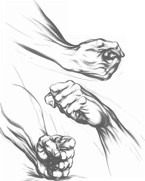 Image result for Fist Hand Drawing Reference