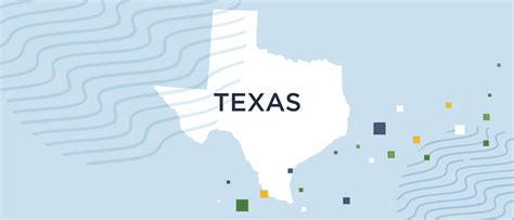 Image result for Background Check Texas