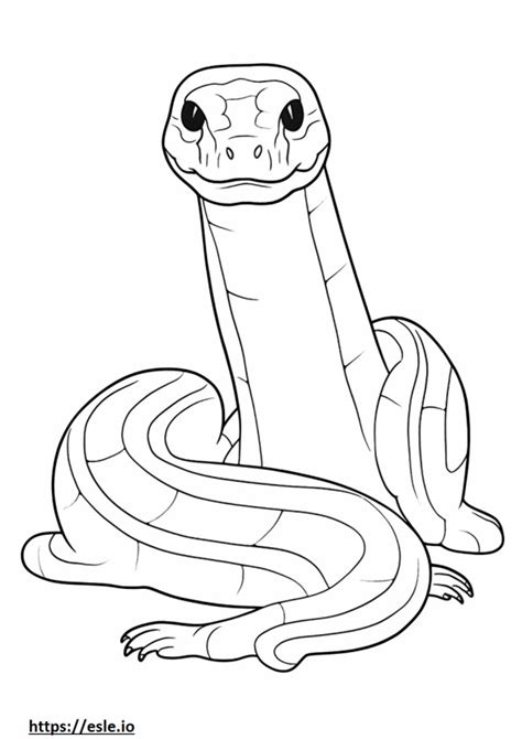 Afbeeldingsresultaten voor Esle If Python