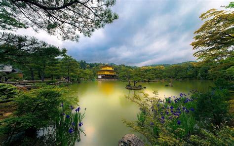 Image result for Kyoto Windows Wallpaper