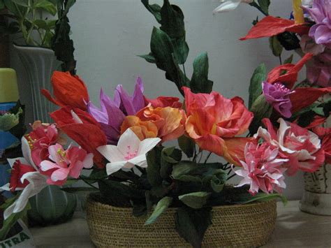 Image result for Can You Duplicate Flowers