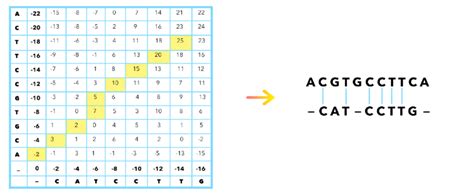 Toradh íomhá ar Backtracing