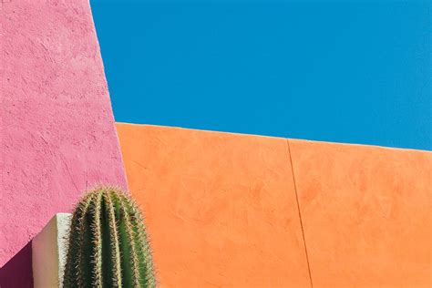 Why Use Padding in Android Studio に対する画像結果