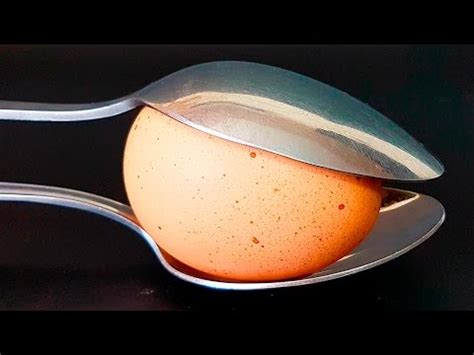 Image result for Awesome Magic Tricks