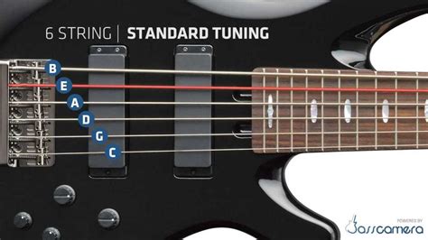 Image result for 12 String Guitar Labeled Diagram