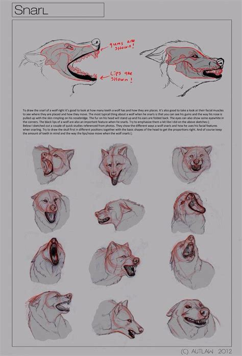 Drawing of Wolves に対する画像結果