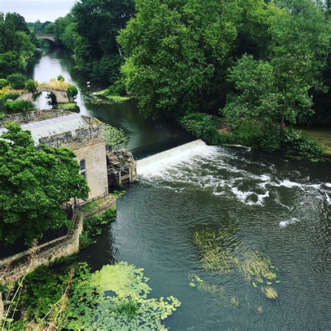 Warwick Spring Getaway に対する画像結果