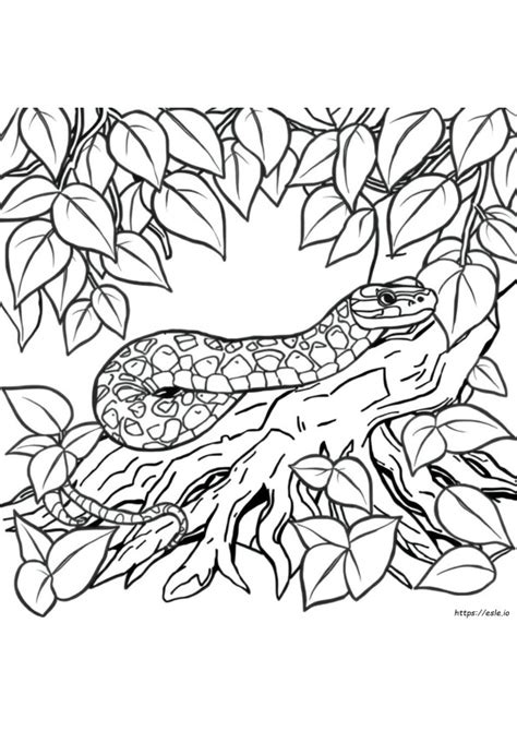 Afbeeldingsresultaten voor Esle If Python