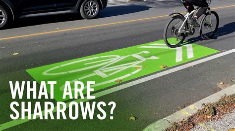 Image result for Sharrow PNG