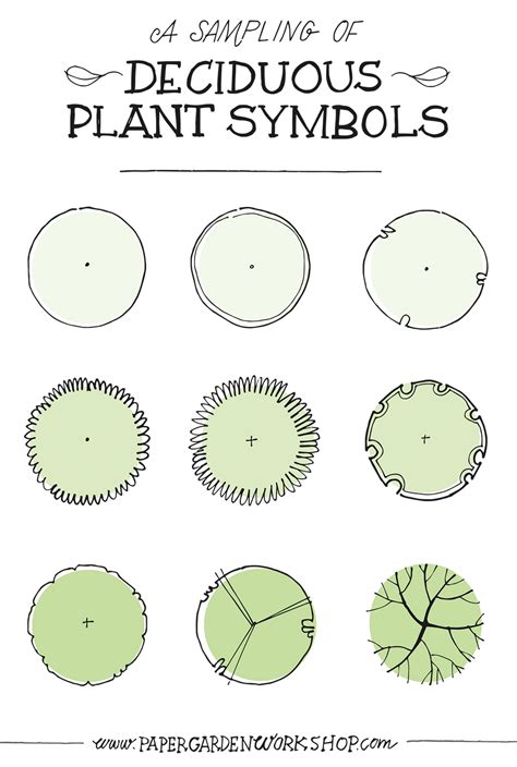 Image result for Plan View Plant Symbols