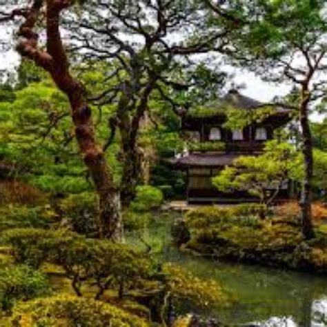 Image result for Kyoto Windows Wallpaper