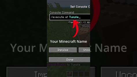 Image result for Internal Command for Minecraft Java