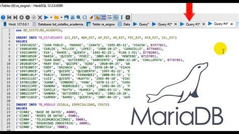 Toradh íomhá ar MariaDB and HeidiSQL
