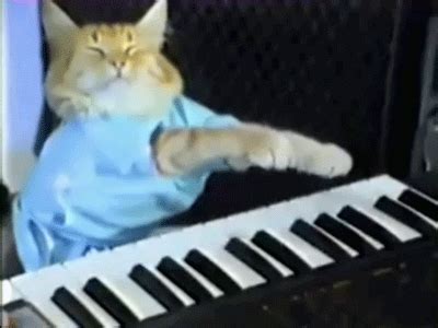 Keyboard Cat Value-साठीचा प्रतिमा निकाल