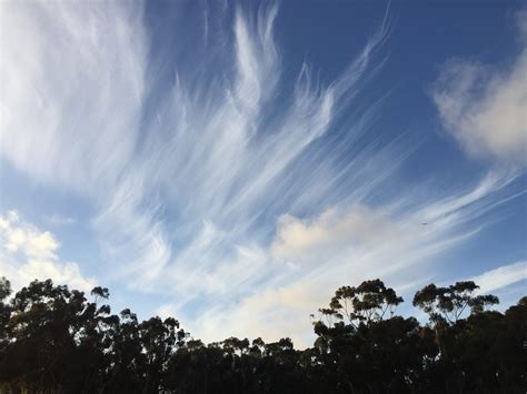 Dev Workshop Emoji के लिए छवि परिणाम