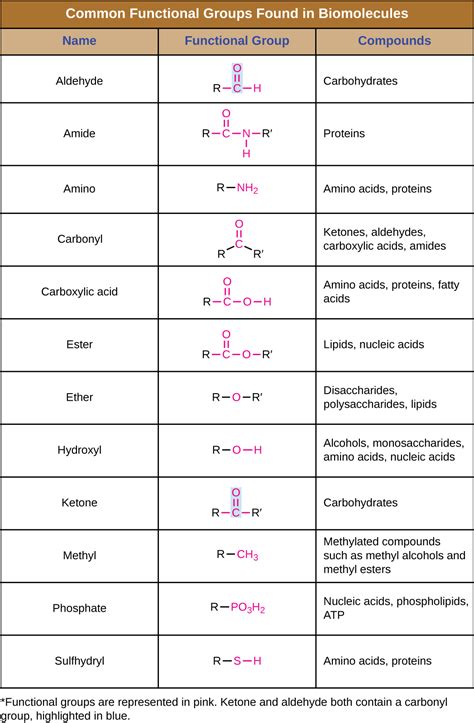 Image result for Functional Groups Biology