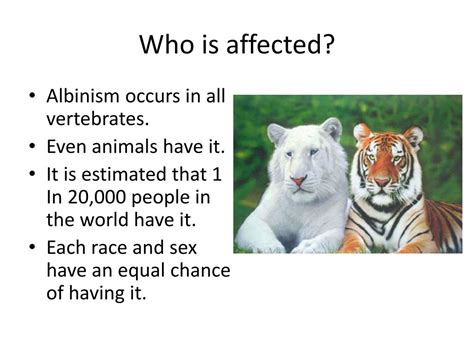 Toradh íomhá ar Albino Scientific Name