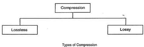 Image result for Data Compression Types