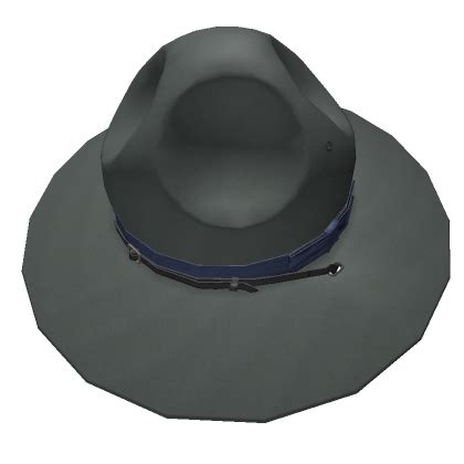 Afbeeldingsresultaten voor Roblox State Trooper Hat