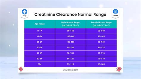 Afbeeldingsresultaten voor Normal Creatinine Levels Chart