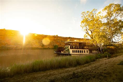 Image result for Murray River Python