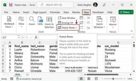 Image result for How to Freeze a Row in Excel When Scrolling
