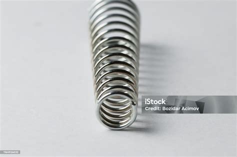 Image result for Spring Bulb Planting Design