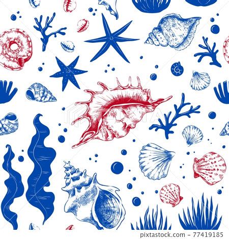 Up Close Seashell Pattern に対する画像結果