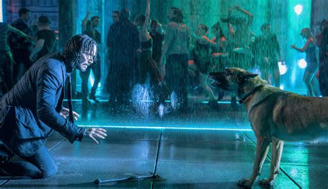 Image result for John Wick Chapter