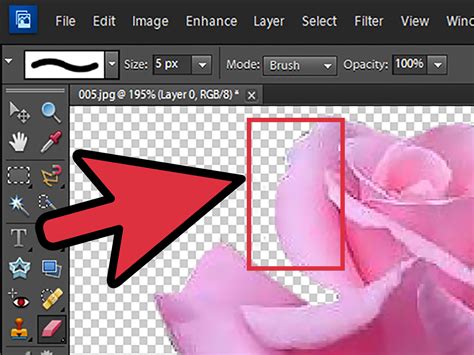 Image result for Adobe Photoshop Remove Background