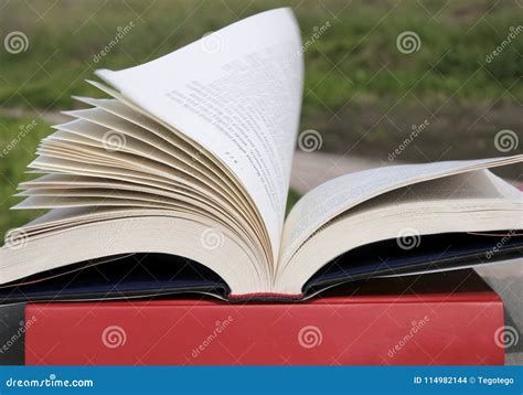 Draw a Open Book with Fliying Pages に対する画像結果