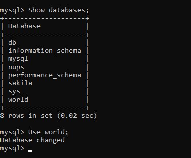 Use Database Command に対する画像結果