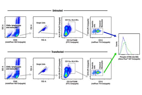 Flow Cytometry Tutorial కోసం చిత్ర ఫలితం