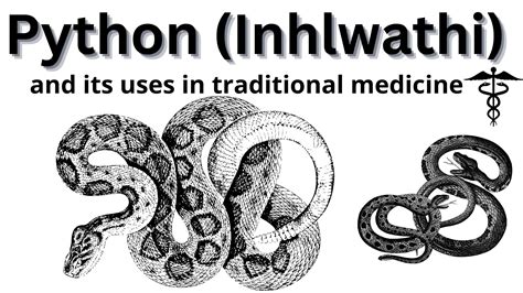 Image result for Python and Medicine