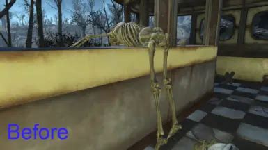 Image result for Fallout 4 Skeleton